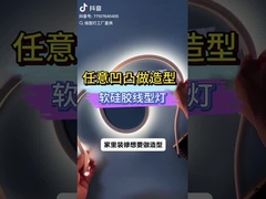 гибкая световая лента неона